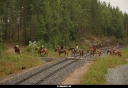 Tiedostonimi=20130718_7613_Kokkomaki.jpg
Tiedostokoko=469kt
Koko=1200x830
Lisätty=01.03.2018 20130718_7613_Kokkomaki.jpg