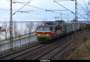 Tiedostonimi=20150430_4193_Amuri.jpg
Tiedostokoko=353kt
Koko=1200x830
Lisätty=05.05.2015 20150430_4193_Amuri.jpg