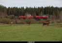 Tiedostonimi=20150509_6193_Palojoki.jpg
Tiedostokoko=323kt
Koko=1200x830
Lisätty=20.05.2015 20150509_6193_Palojoki.jpg