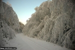 Tiedostonimi=2005-12-25_200_Virrat.jpg
Tiedostokoko=68kt
Koko=600x400
Lisätty=28.04.2009 2005-12-25_200_Virrat.jpg