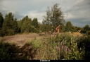Tiedostonimi=20060716_4757_Valkeasuo.jpg
Tiedostokoko=418kt
Koko=1200x830
Lisätty=01.06.2018 20060716_4757_Valkeasuo.jpg
