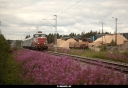 Tiedostonimi=20060726_7873_Palta.jpg
Tiedostokoko=280kt
Koko=1200x830
Lisätty=08.02.2018 20060726_7873_Palta.jpg