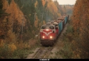 Tiedostonimi=20070926_5591_Muuras.jpg
Tiedostokoko=381kt
Koko=1200x830
Lisätty=22.02.2018 20070926_5591_Muuras.jpg