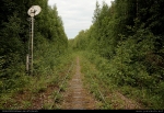 2009-06-19_0020_Virrat.jpg