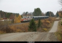 Tiedostonimi=20181017_9638_Runni.jpg
Tiedostokoko=280kt
Koko=1200x830
Lisätty=22.10.2018 20181017_9638_Runni.jpg