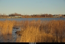Tiedostonimi=20201109_6794_Tammisaari.jpg
Tiedostokoko=361kt
Koko=1200x830
Lisätty=10.11.2020 20201109_6794_Tammisaari.jpg